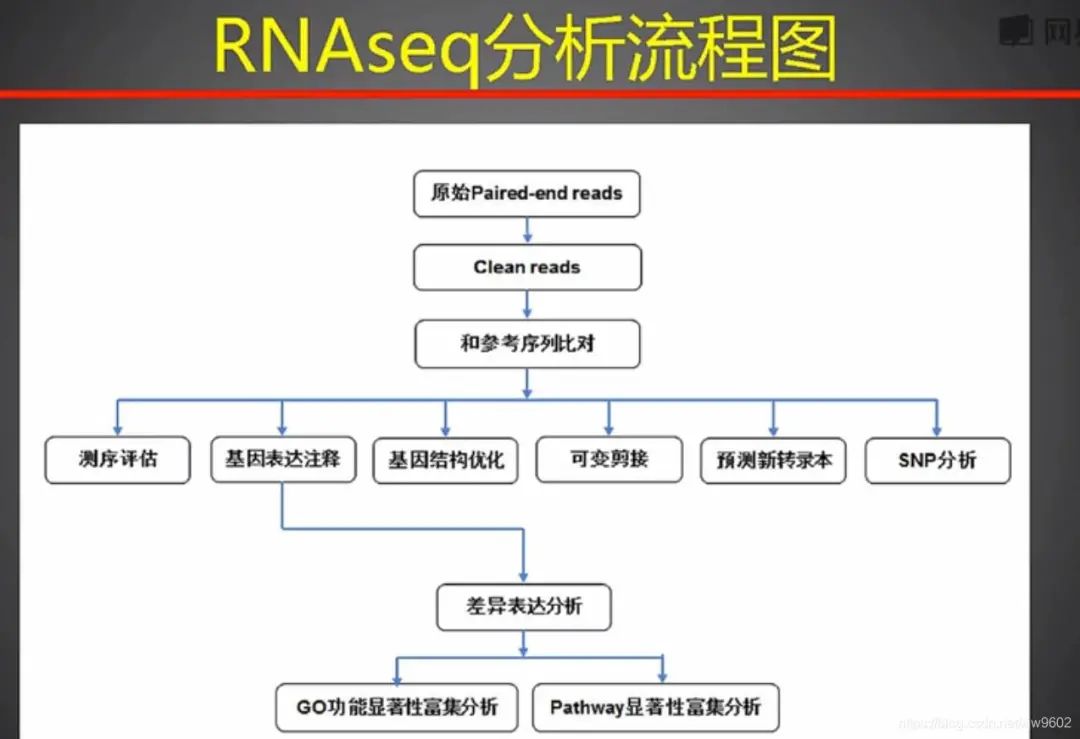 dnastar拼接序列_dna man序列拼接方法_dnastar拼接序列