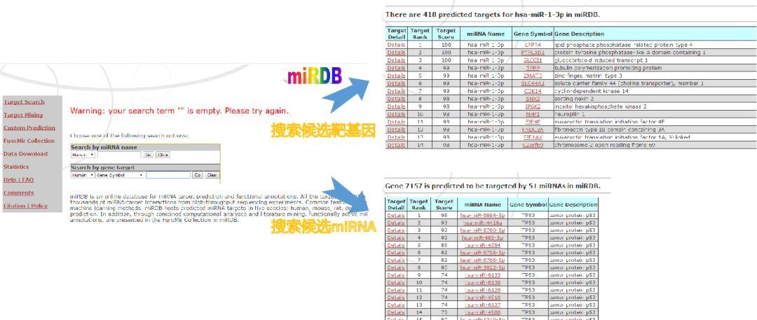 chimera 序列比對_dnastar序列比對_dnastar拼接序列