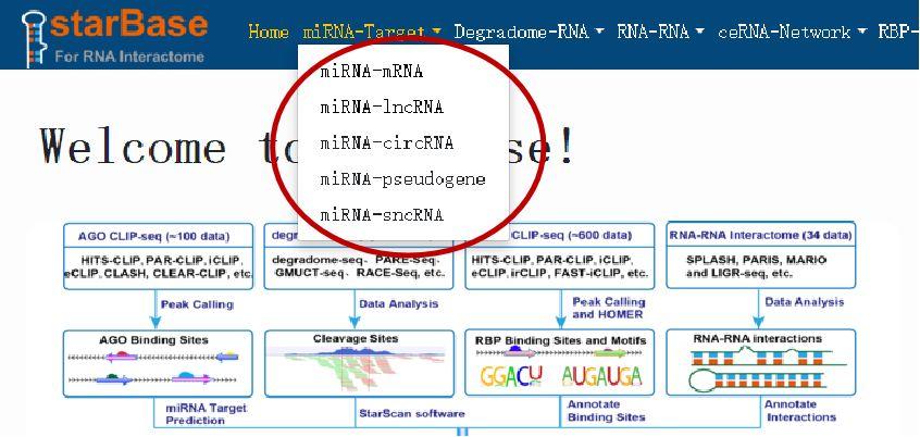 chimera 序列比對_dnastar序列比對_dnastar拼接序列