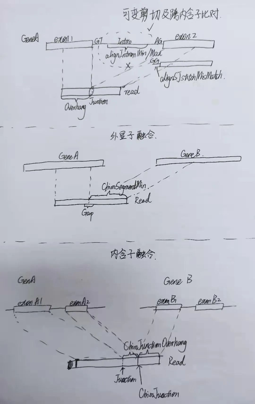 序列比對 blast_blast序列比對_dnastar序列比對