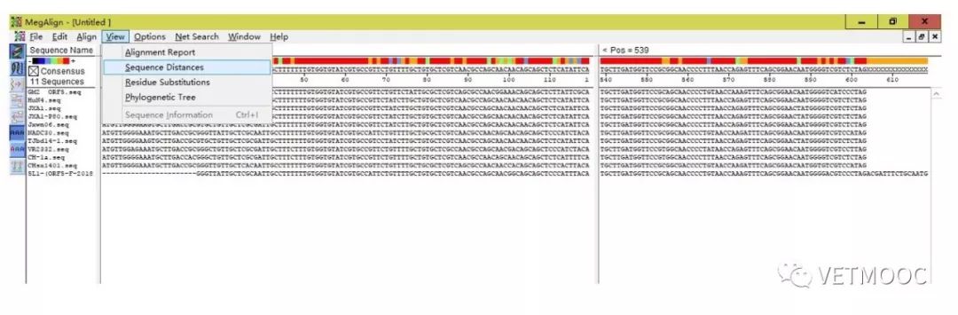 ncbi blast序列比對(duì)_dnastar序列比對(duì)_dnaman序列比對(duì)