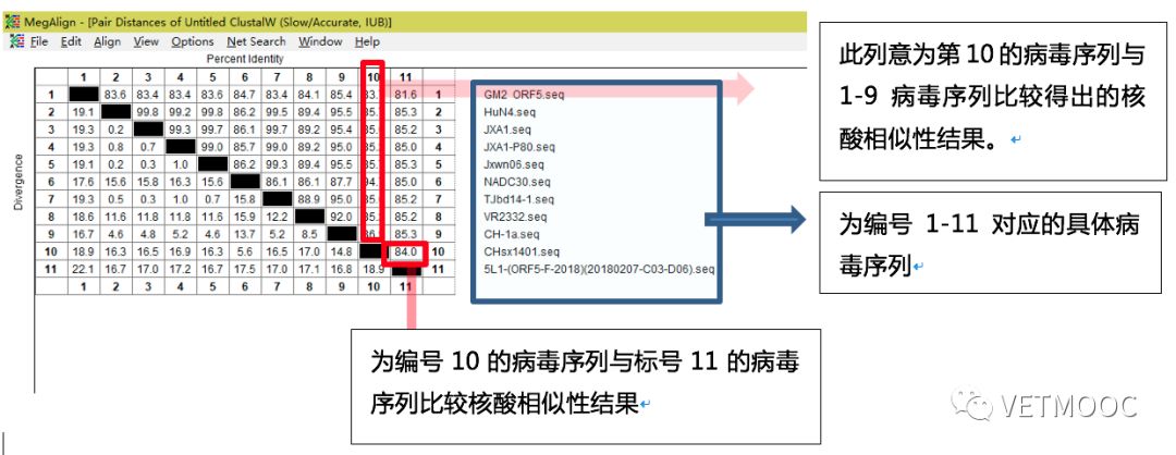 dnastar序列比對(duì)_ncbi blast序列比對(duì)_dnaman序列比對(duì)