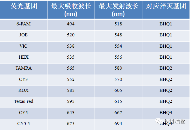 引物設計軟件primer_dnastar引物設計_引物設計原則和注意事項